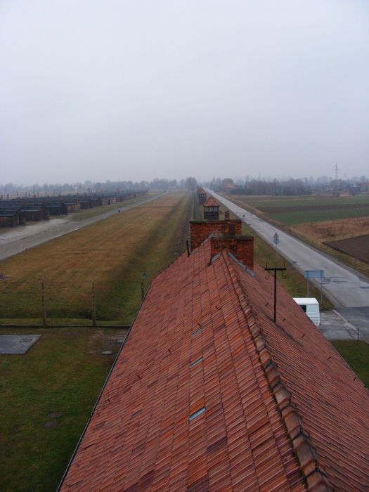 DSCF1003.JPG