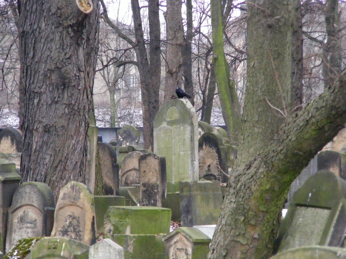 DSCF1009.JPG