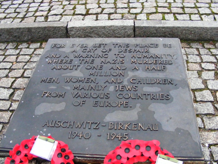 DSCF1009.JPG