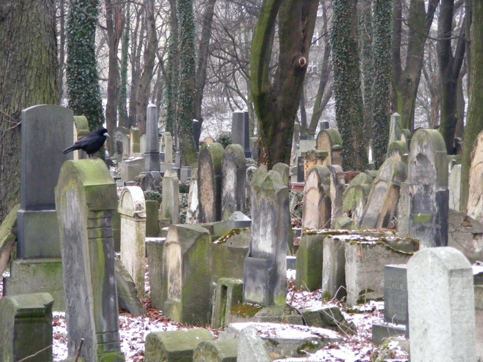 DSCF1011.JPG