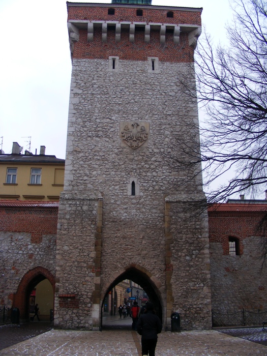 DSCF1048.JPG