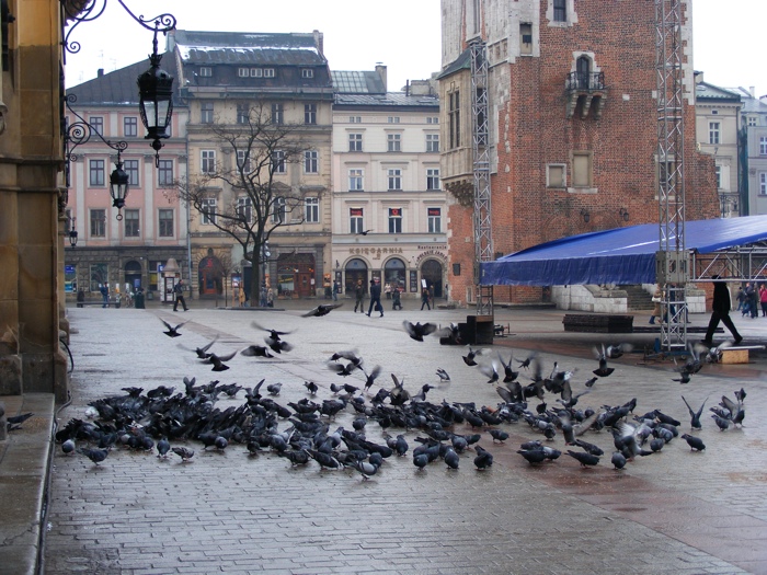 DSCF1061.JPG