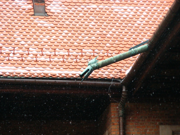 DSCF1069.JPG