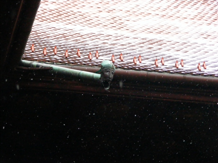 DSCF1071.JPG
