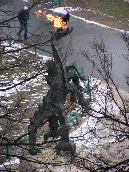DSCF1103.JPG