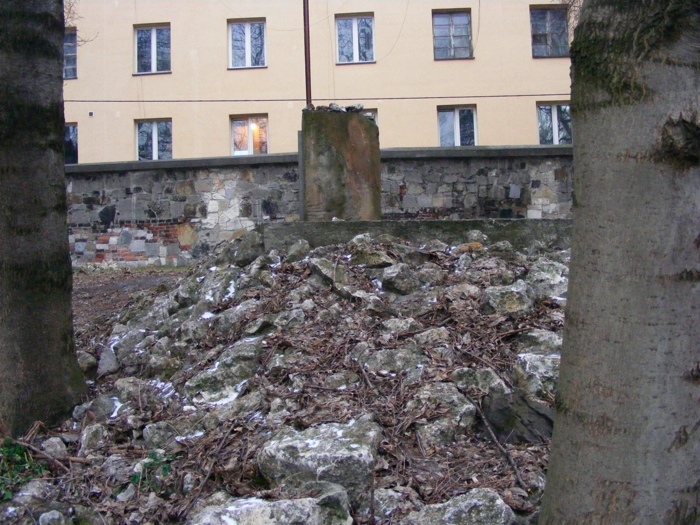DSCF1114.JPG