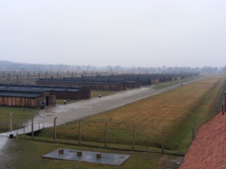 DSCF1004.JPG