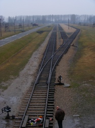 DSCF1006.JPG