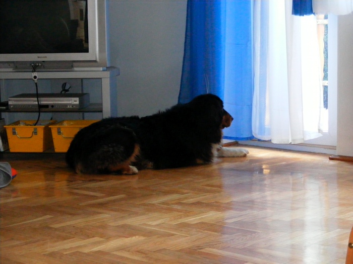 DSCF1001.JPG