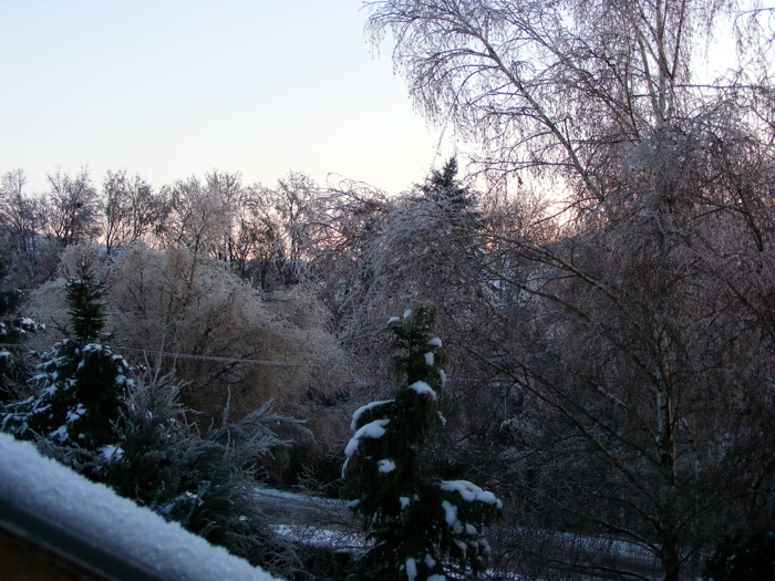 DSCF1004.JPG