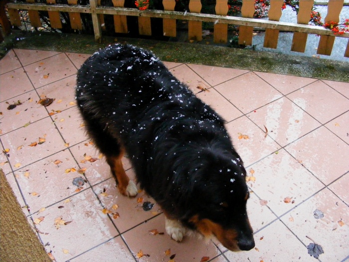 DSCF1005.JPG