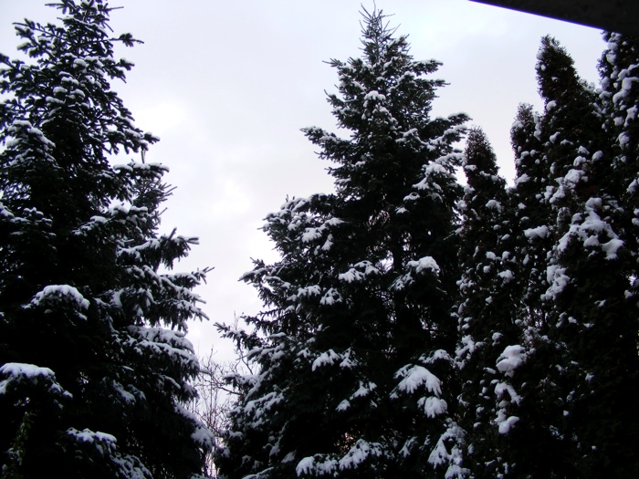 DSCF1016.JPG
