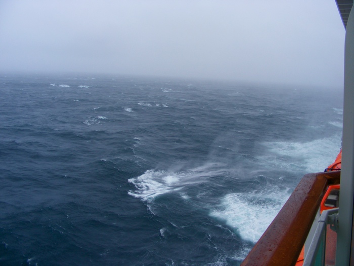 DSCF1003.JPG
