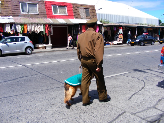 DSCF1014.JPG