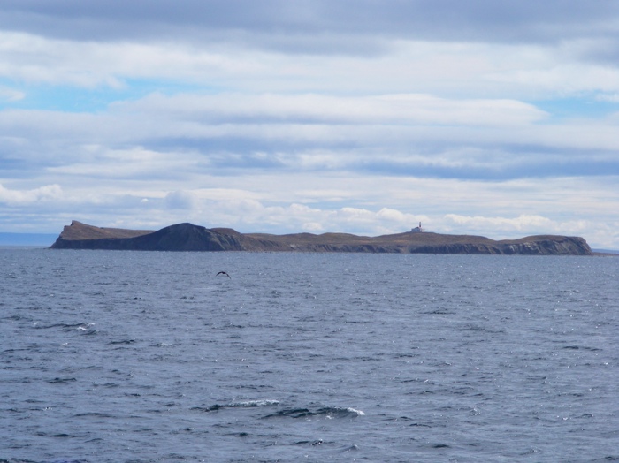 DSCF1014.JPG