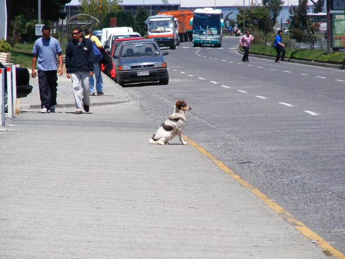 DSCF1016.JPG