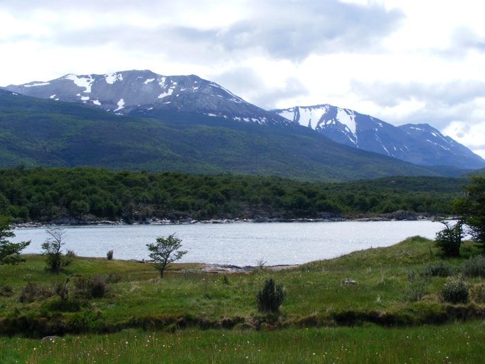 DSCF1017.JPG