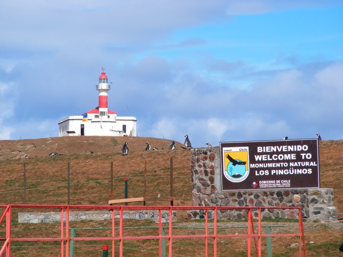 DSCF1025.JPG