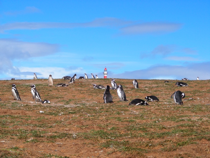 DSCF1033.JPG