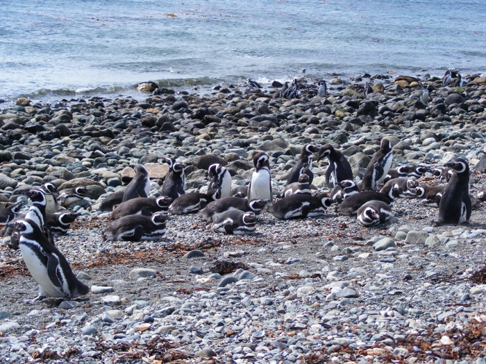 DSCF1034.JPG