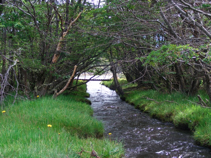 DSCF1035.JPG