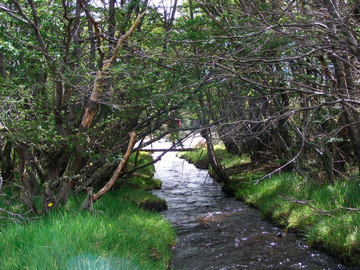DSCF1038.JPG