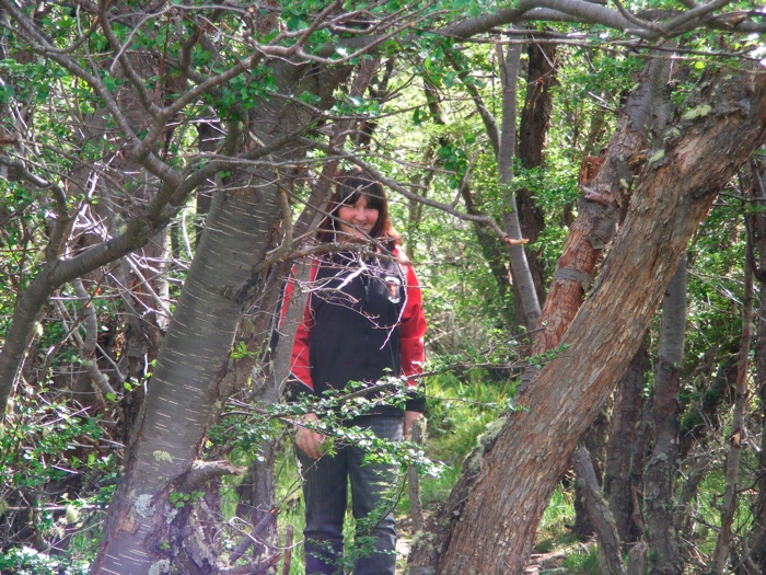 DSCF1039.JPG