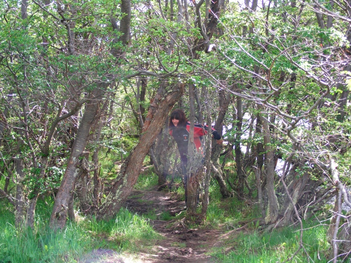 DSCF1040.JPG