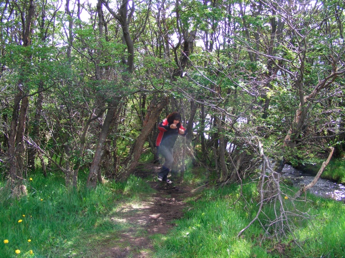 DSCF1041.JPG