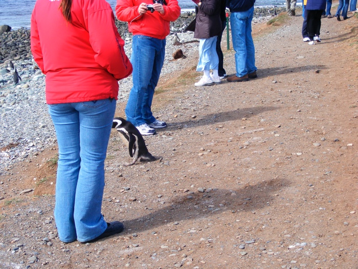 DSCF1046.JPG