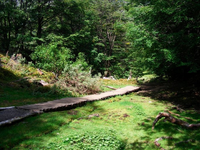 DSCF1047.JPG