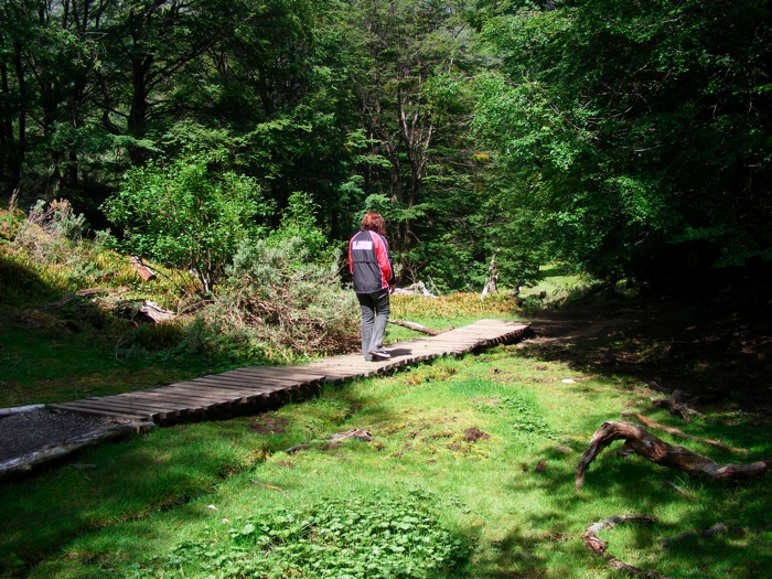 DSCF1048.JPG