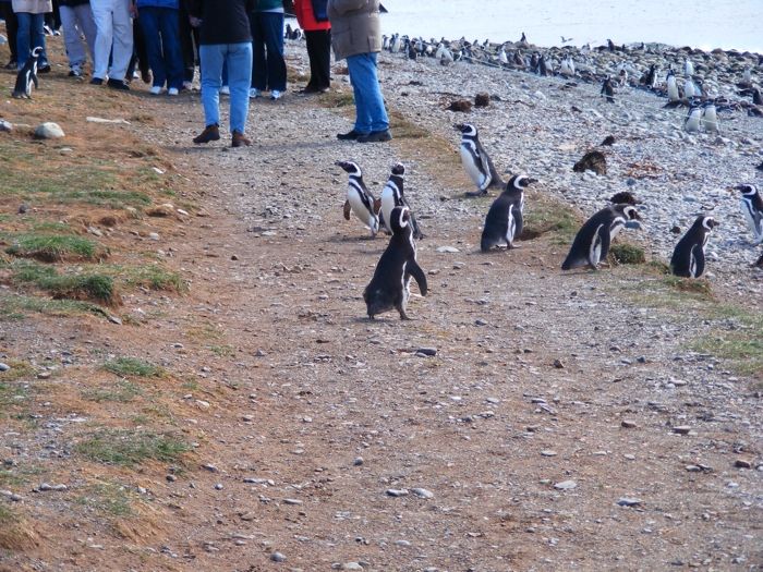 DSCF1051.JPG