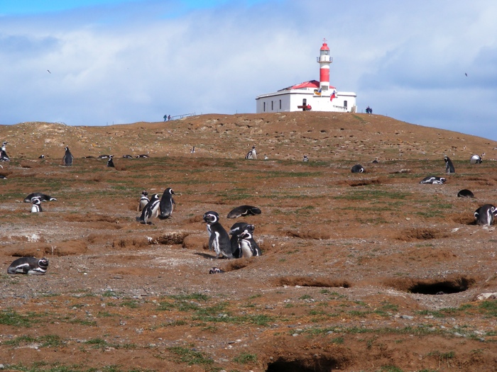 DSCF1055.JPG