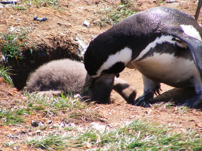 DSCF1078.JPG