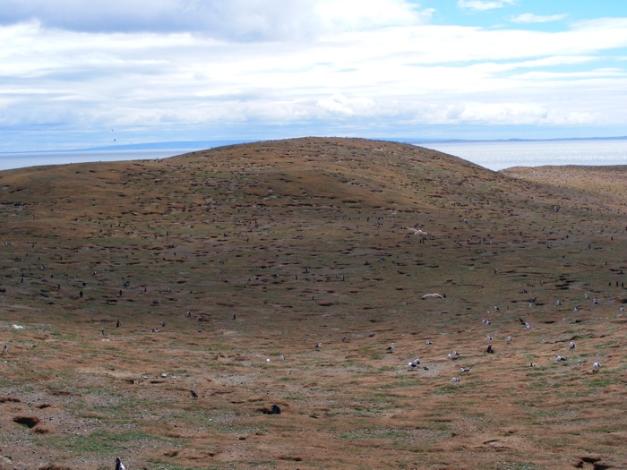 DSCF1089.JPG