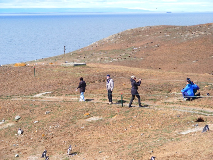 DSCF1090.JPG