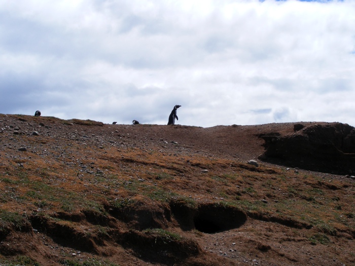 DSCF1097.JPG