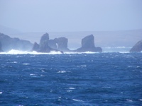 DSCF1182.JPG
