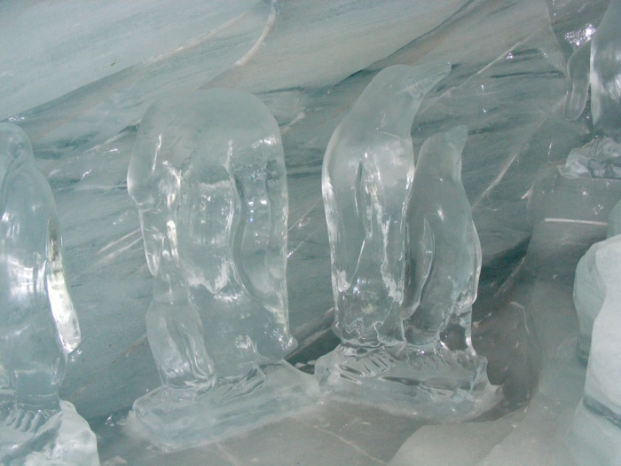 DSCF1162.JPG