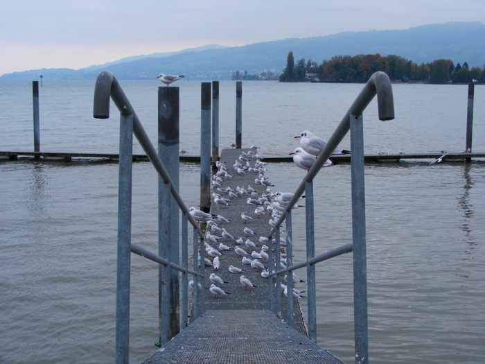 DSCF1347.JPG
