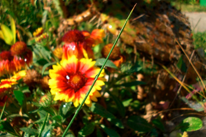 CIMG0105.JPG