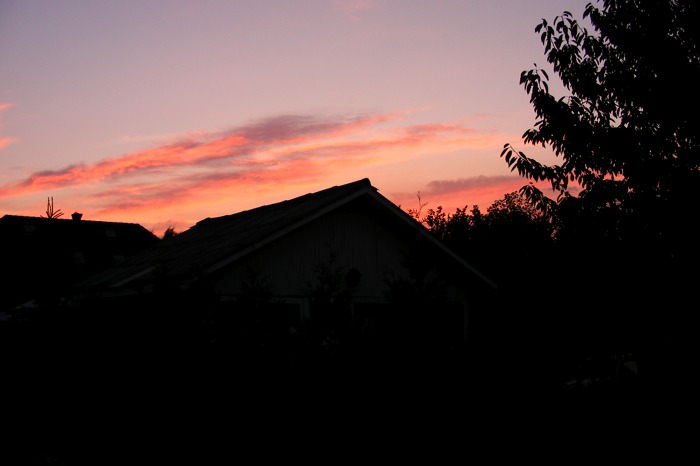 DSCF1003.JPG