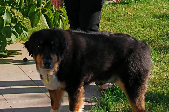DSCF1031Crop.JPG
