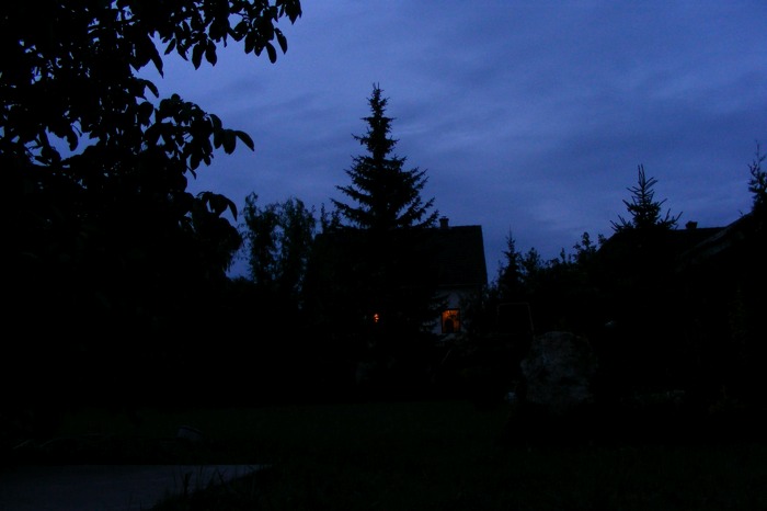DSCF1181.JPG