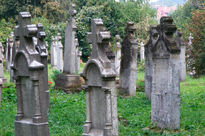 DSCF1254.JPG