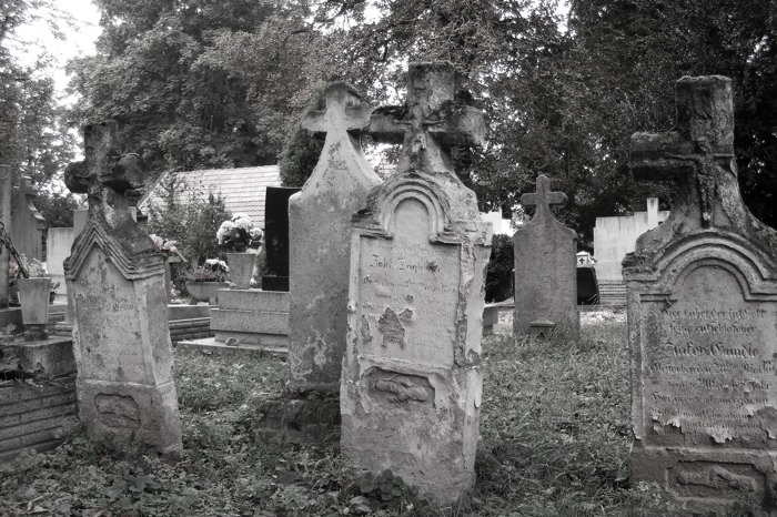 DSCF1265.JPG