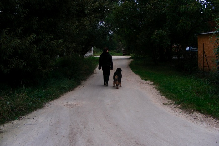 WalkNear