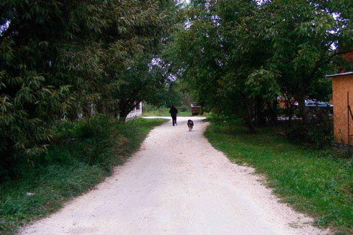 DSCF1298