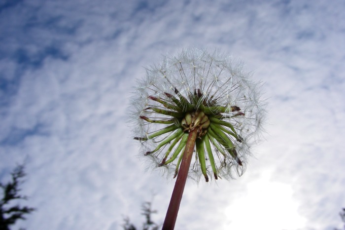 DSCF1318.JPG